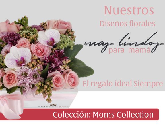 Moms Collection 2025