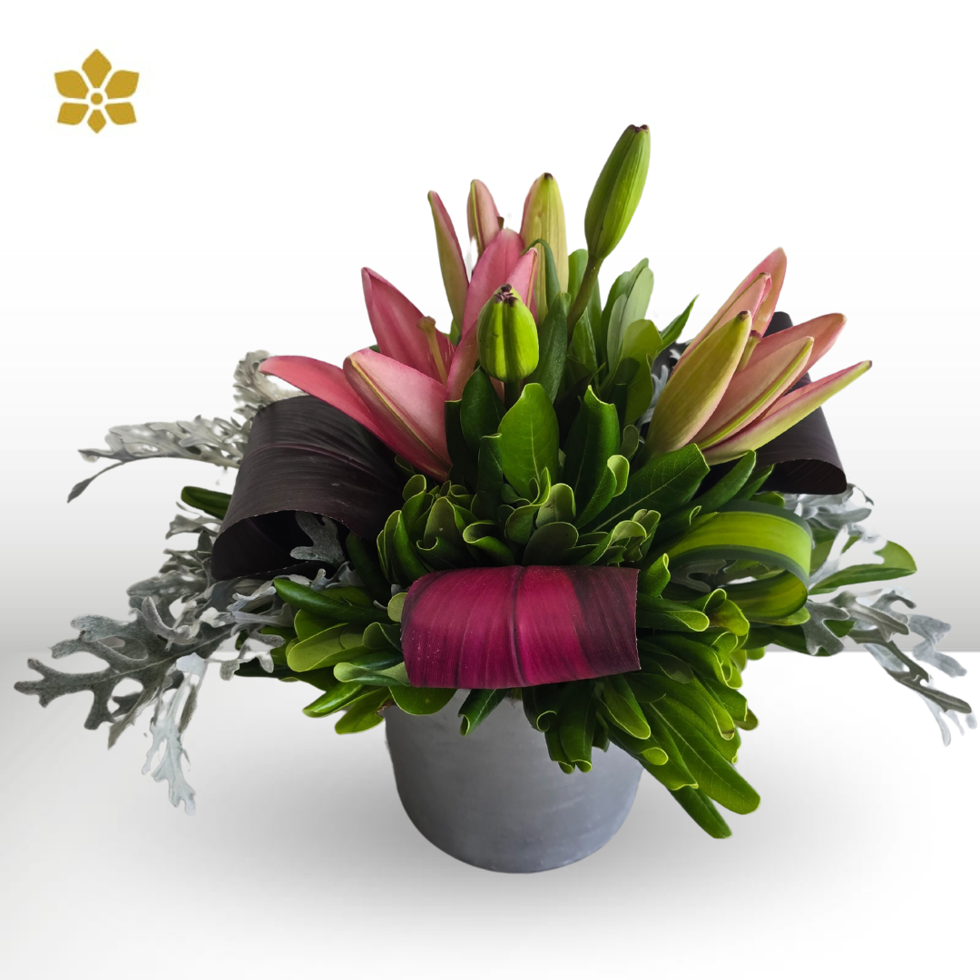 Clasic Lily